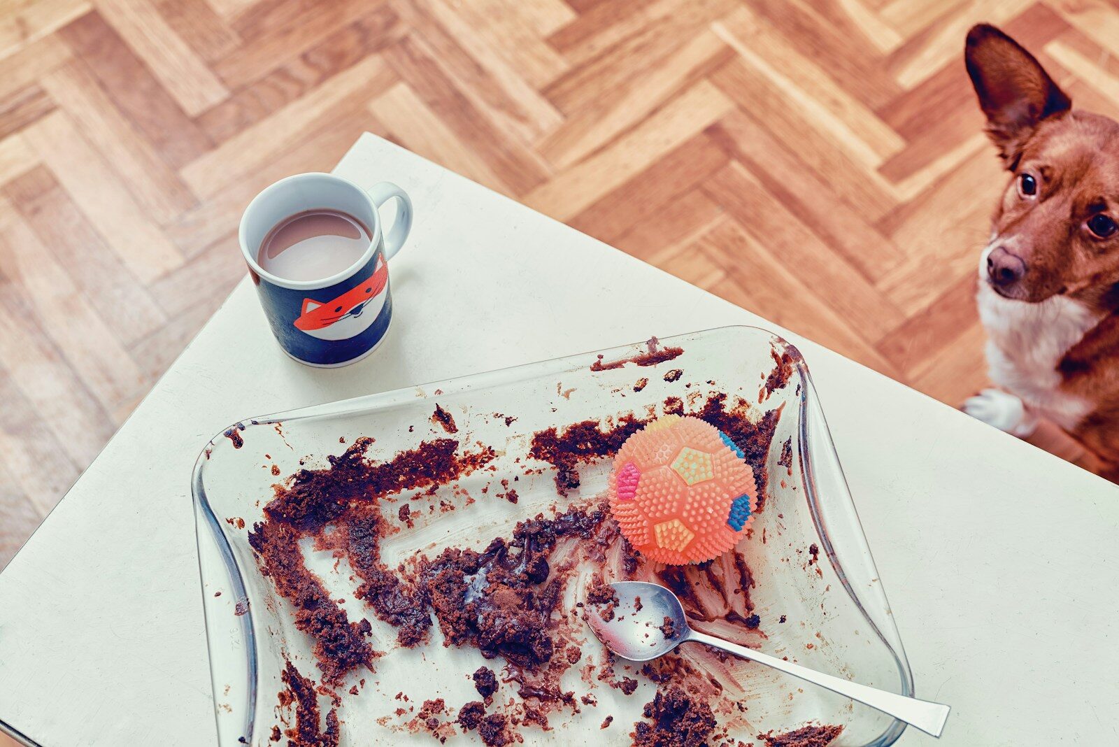 a dog sitting next to a plate of food and a cup of coffee
