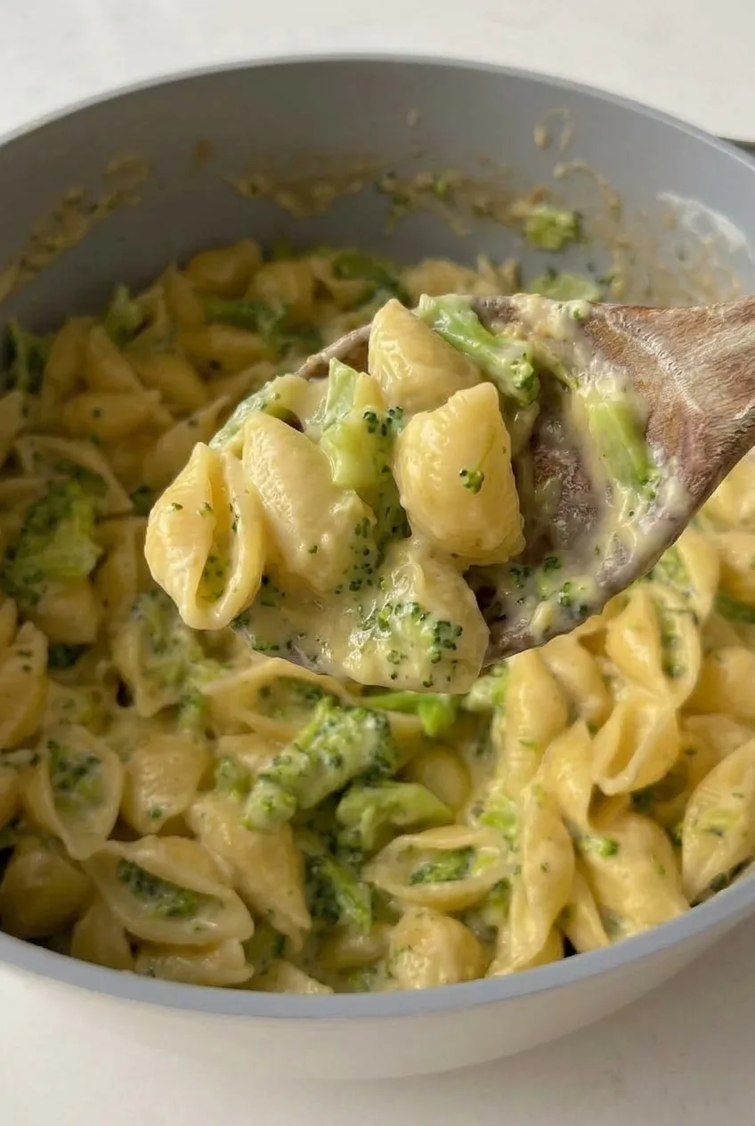 Close view of cheese sauce coating individual pasta shells and intact broccoli florets